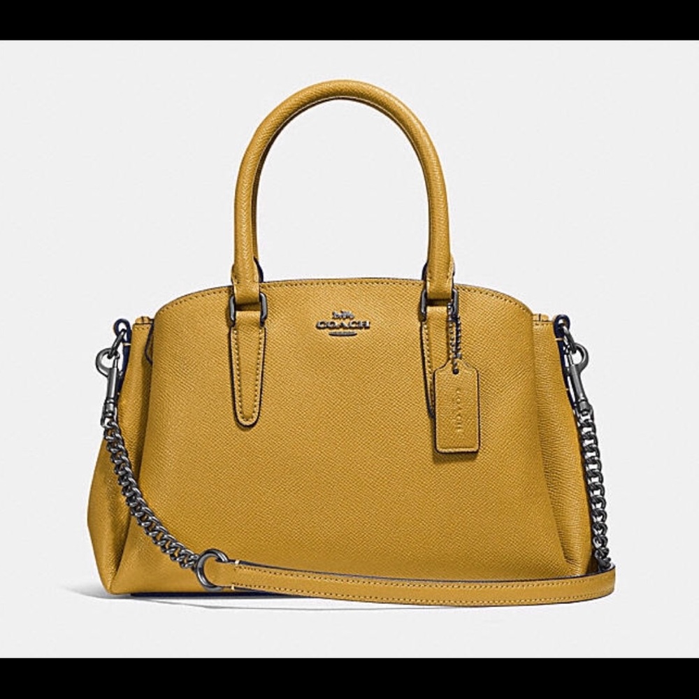 Coach Mini Sage Carryall